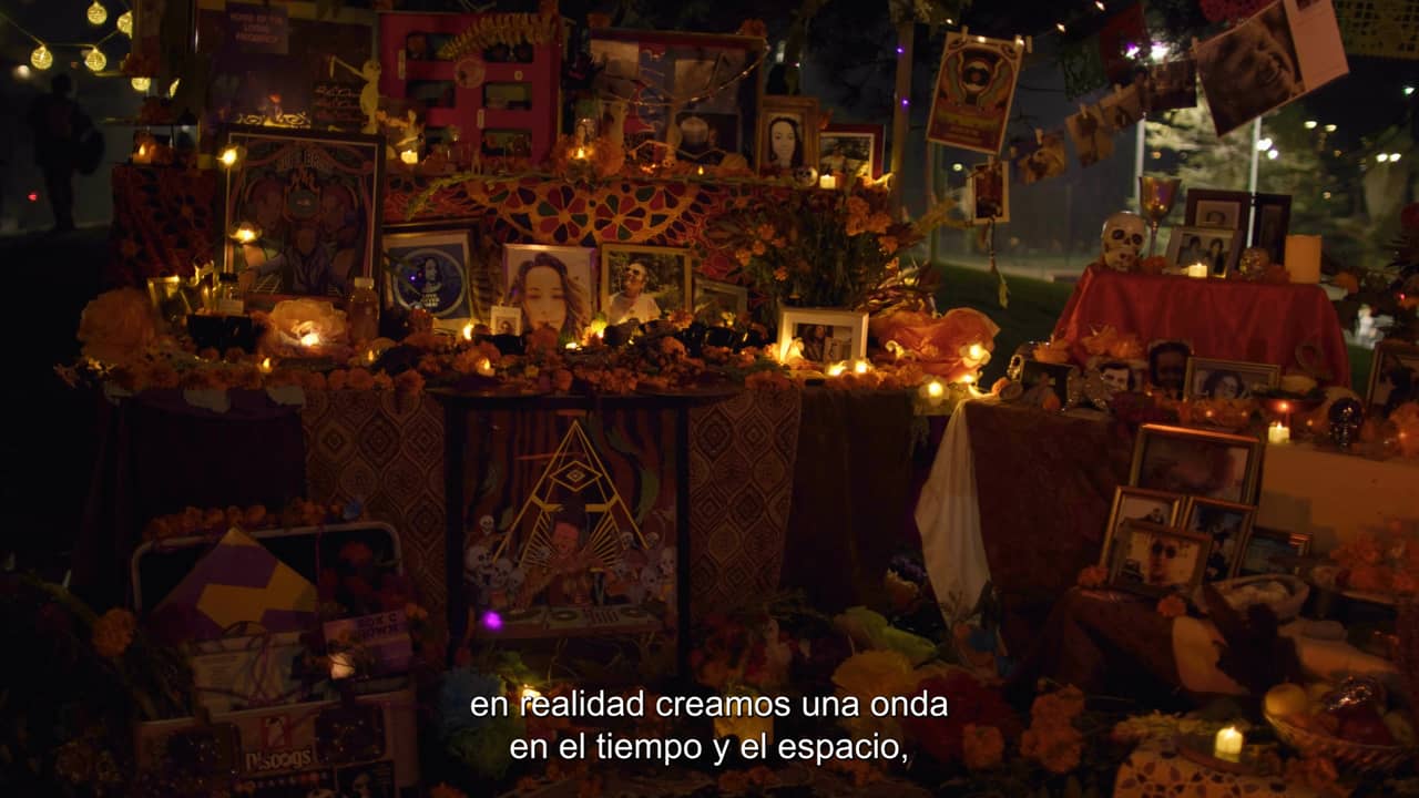 Day of the Dead SF — The Marigold Project